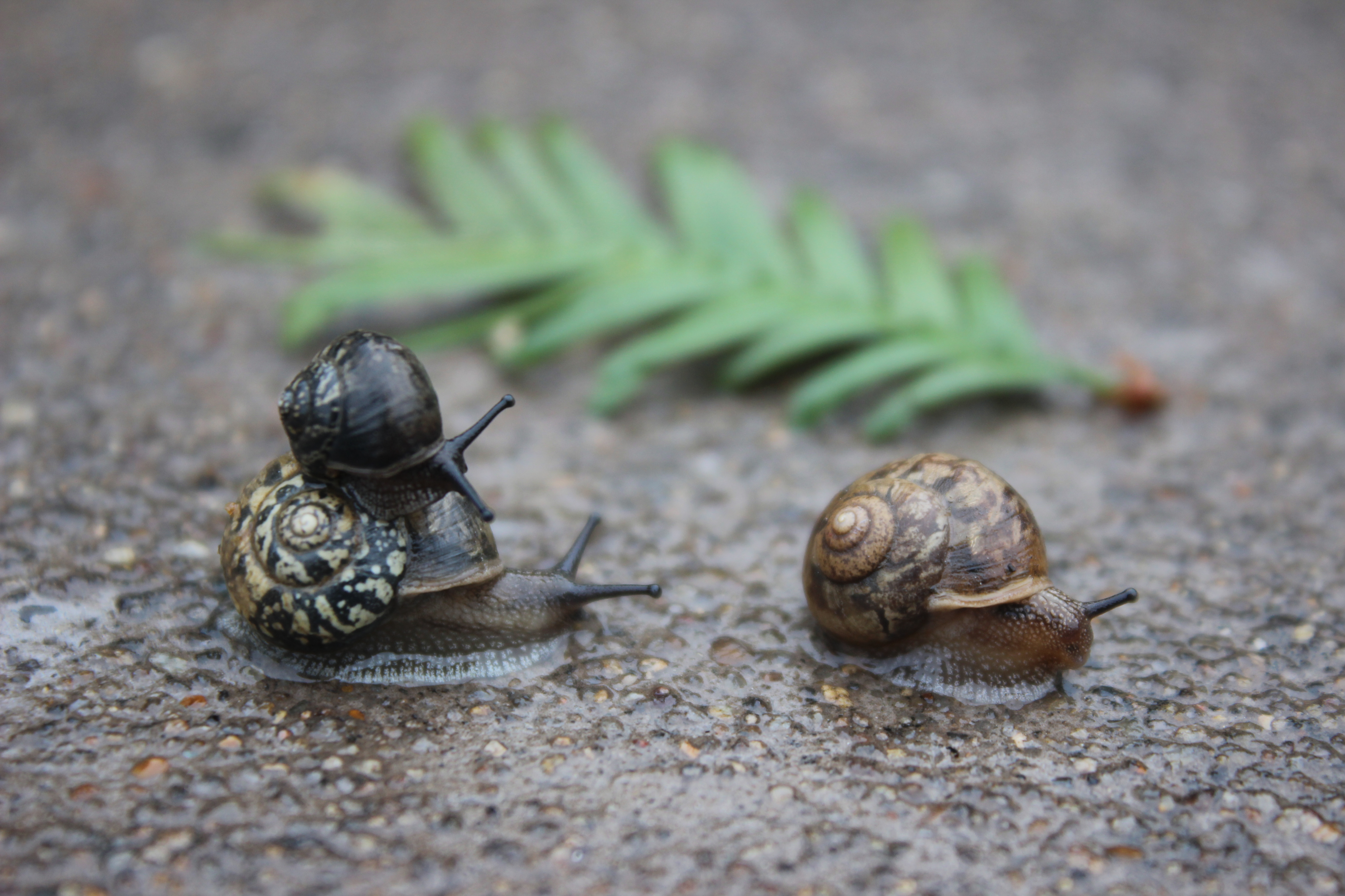 【攝影】爸爸，去哪？